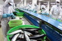 99% hàng xuất sang châu Âu được bỏ thuế sau 7 năm